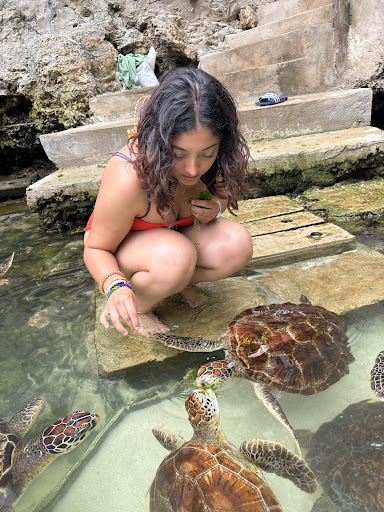 Photo from customer review