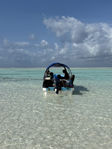 Photo from customer review