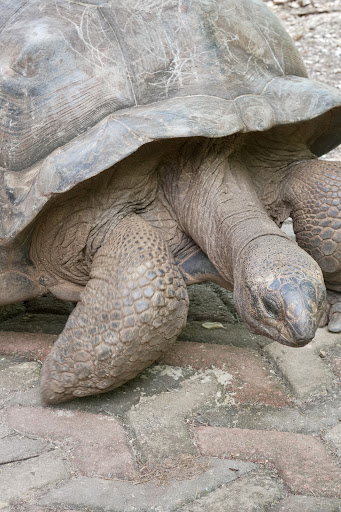 Photo from customer review