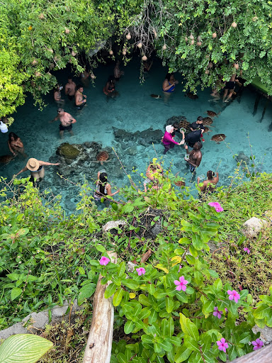 Photo from customer review