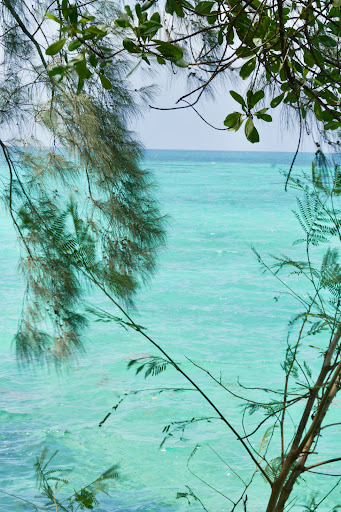 Photo from customer review