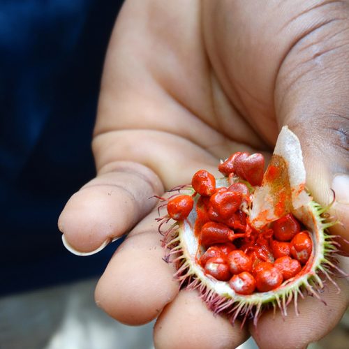 Zanzibar-Spice-Tour-03