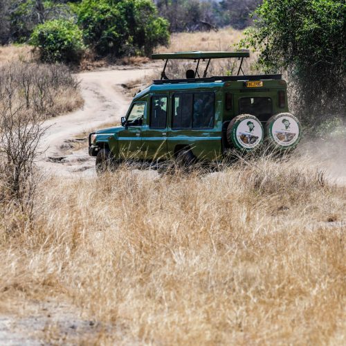 A green safari vehicle traverses a dusty trail through the African savanna.